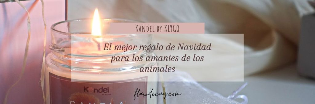 El mejor regalo de Navidad para los amantes de los animales: Kandel by KLYGO