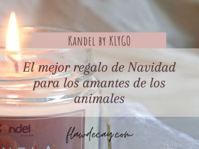 El mejor regalo de Navidad para los amantes de los animales: Kandel by KLYGO